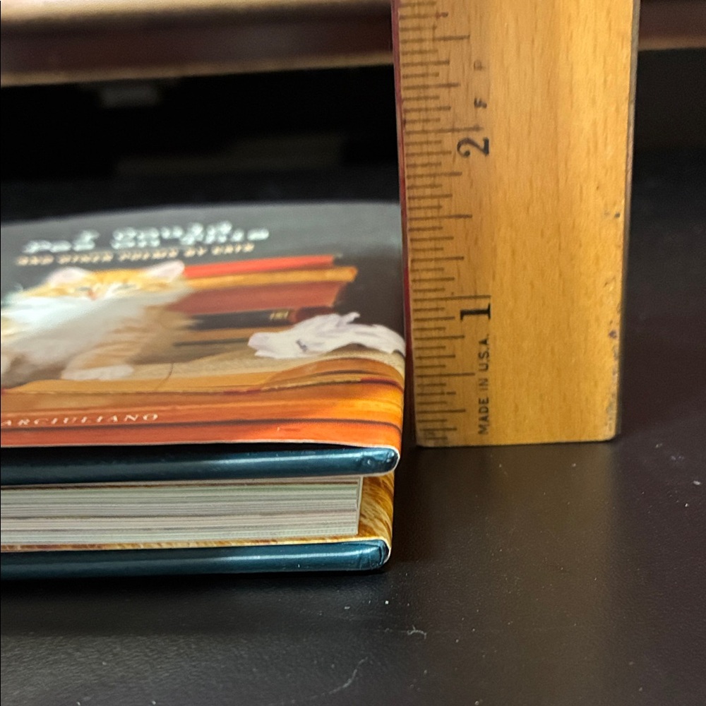 Chronicle Books - Cat Poetry with Orange and White Cover - Picture 4 of 7